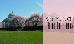 new york city field trip ideas